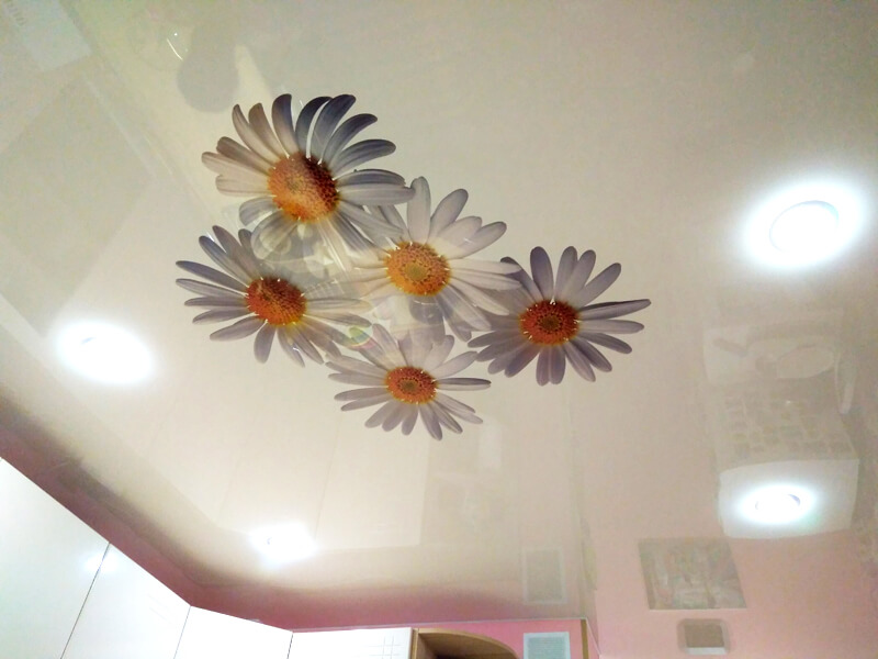 Фото из галереи - натяжной потолок с фотопечатью